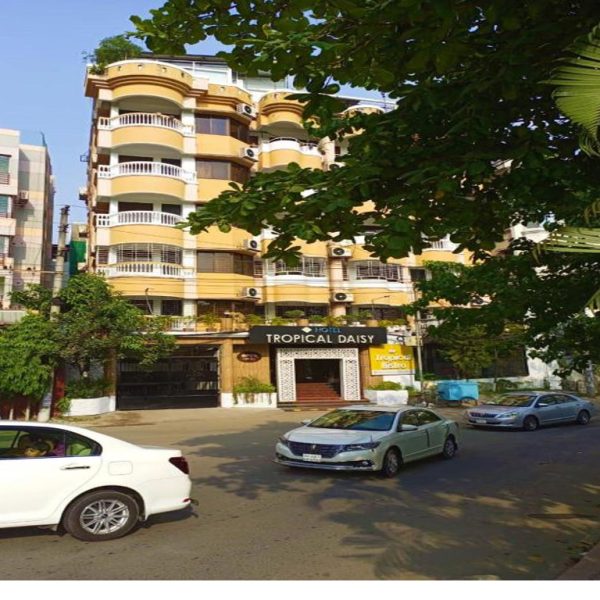 Tropical Daisy, Dhaka